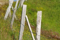 Steingrímsfjörður