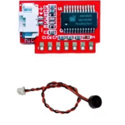 DD501 Voice Recognition Module